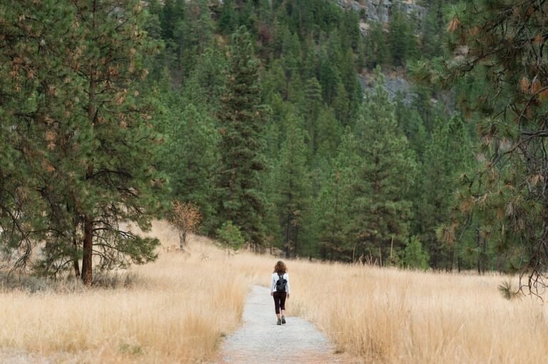 "The Rise of Sustainable Travel: How to Make a Positive Impact on Your Next Trip"