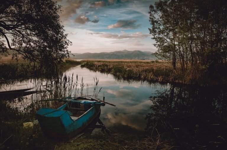 "Travel Trends: What to Expect in the Future of Travel"