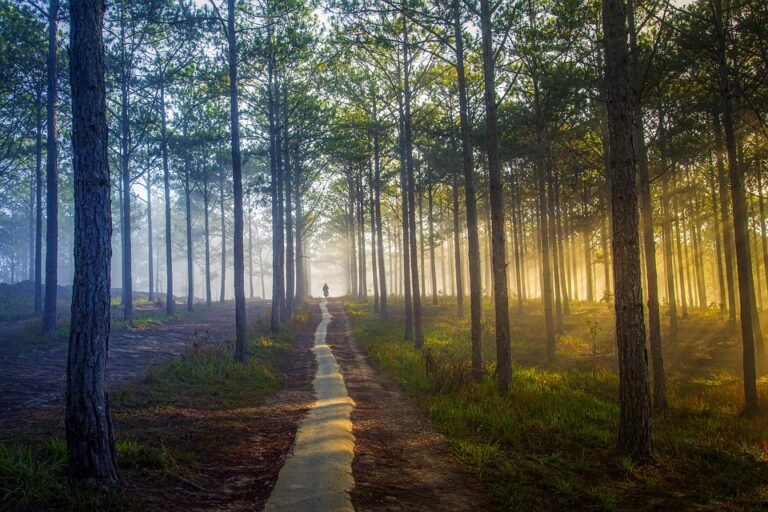 "Traveling on a Budget: Affordable Ways to See the World"