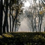 "Exploring the World: The Benefits of Traveling Abroad"
